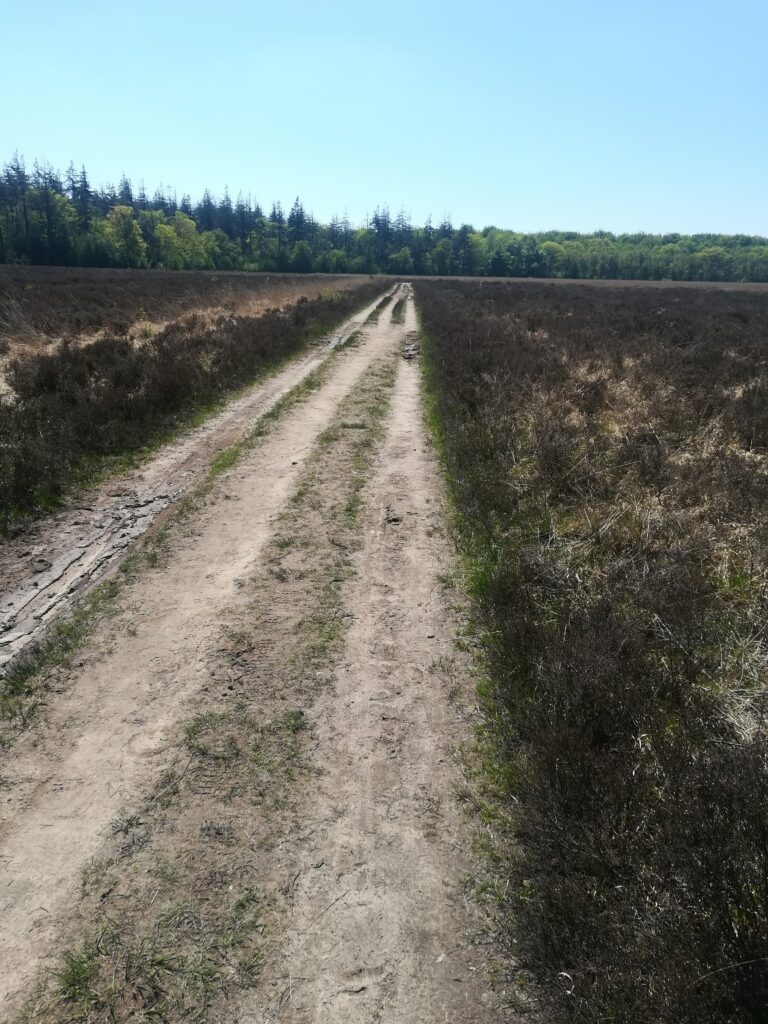 de veenpluisroute loopt langs talloze zandwegen