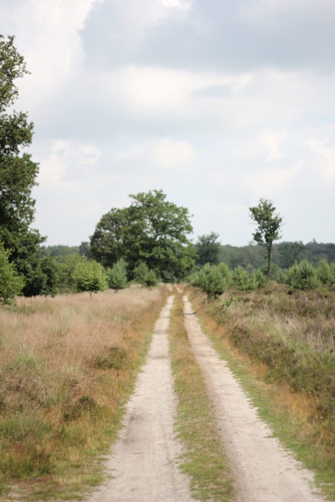 zandweglangs schapenpark route