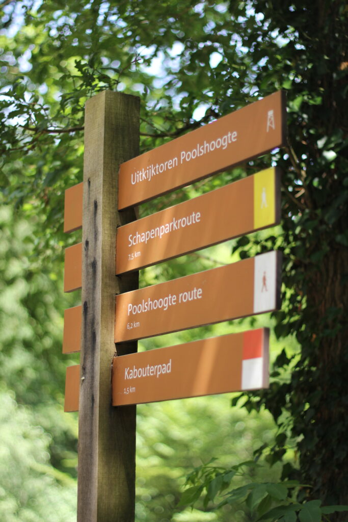 schapenpark route odoorn