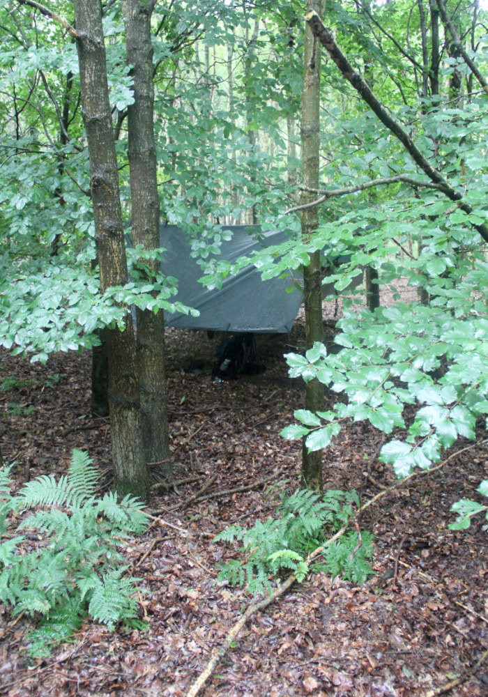 groen tarp zeil tussen de bomen