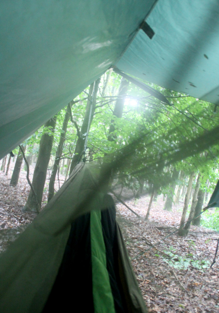 uitzicht vanuit slaapzak en hangmat op het bos