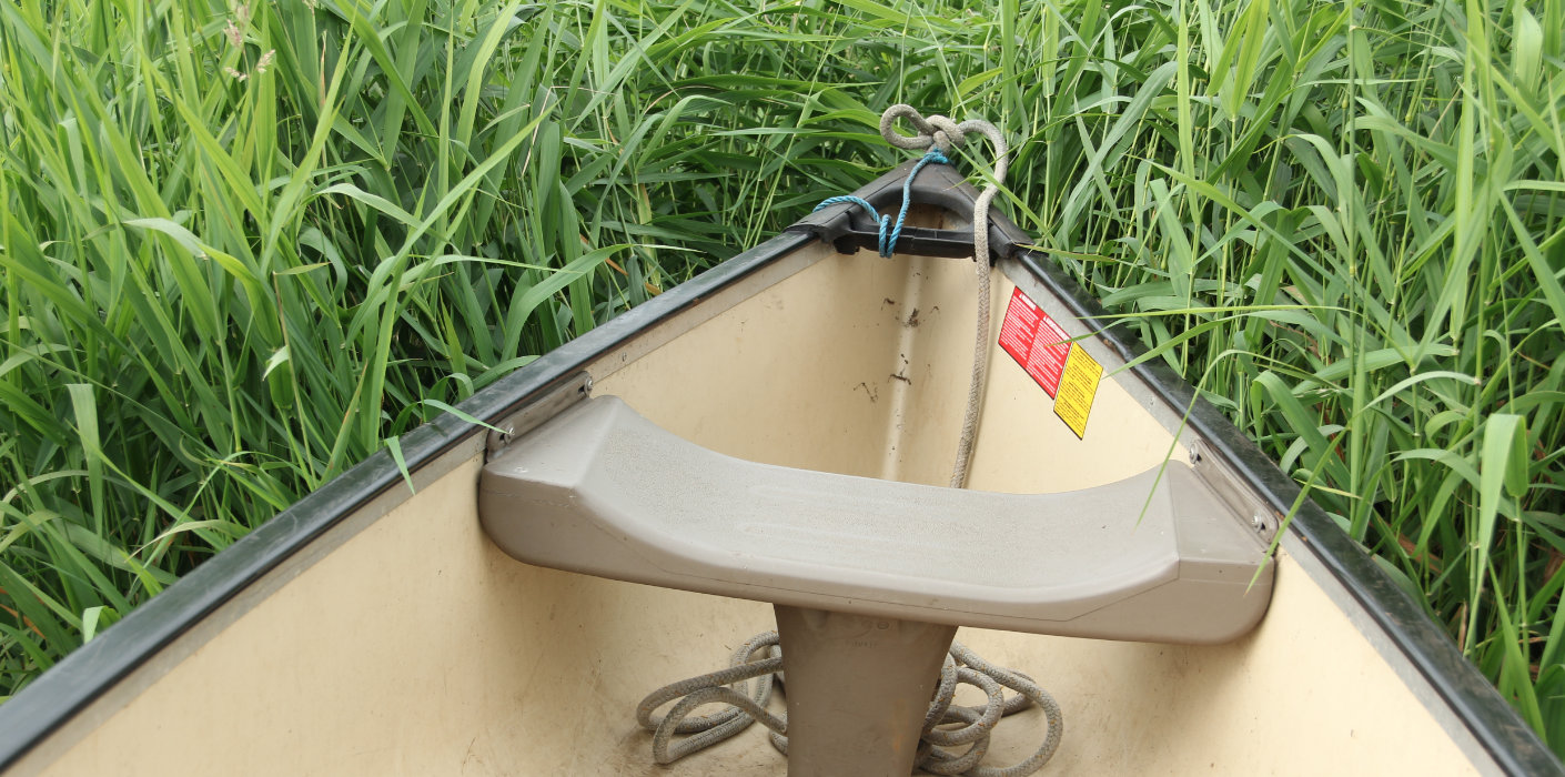 Dichtbegroeide Ruiten Aa bevaren met de kano