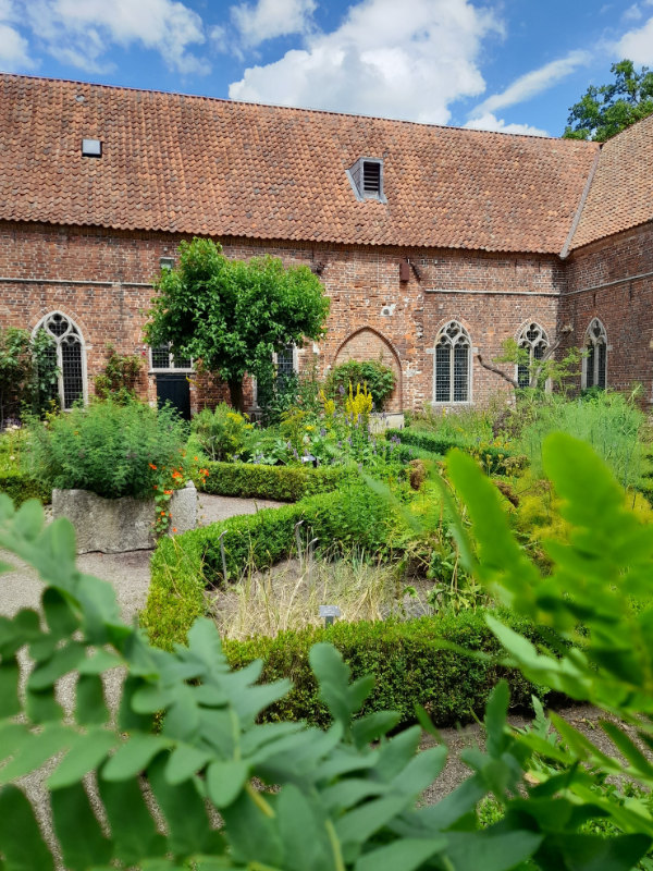 kruidentuin van het klooster in ter apel