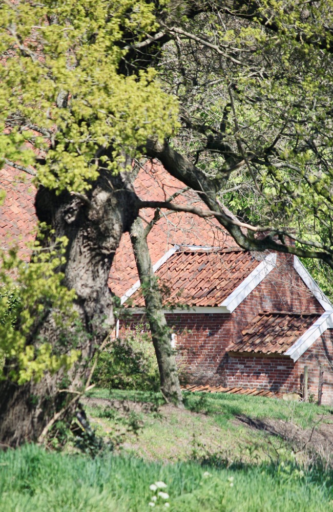 oude boerderij in ter borg
